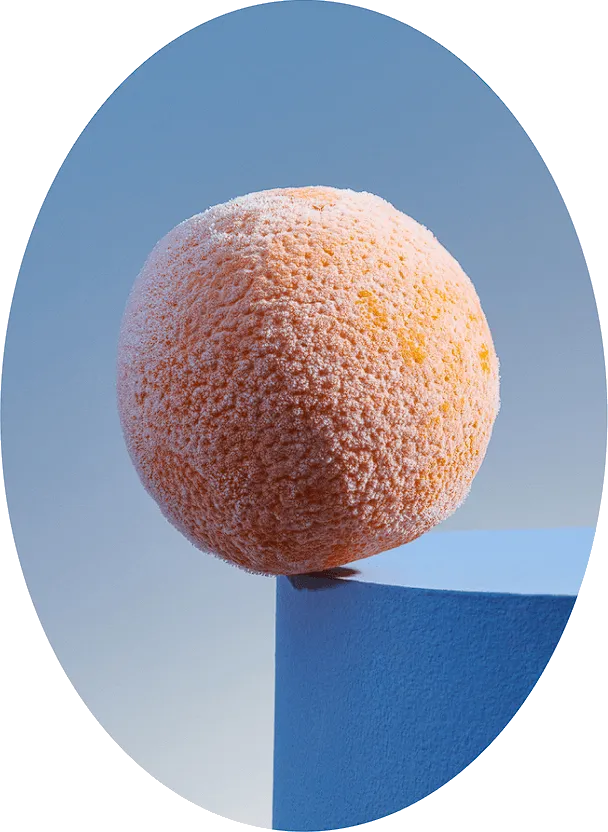 Image - of-ef-explore.webp