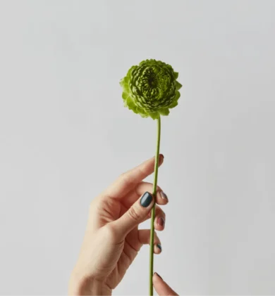 Image - of-home-see-pricing-390x421.webp