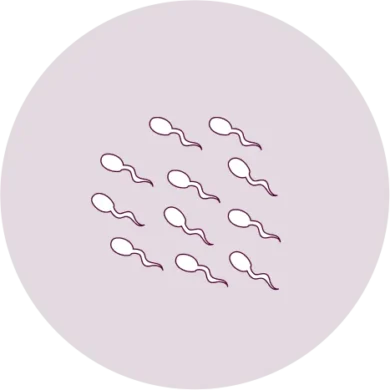 Image - of-ivf-success-icon-2-390x390.webp