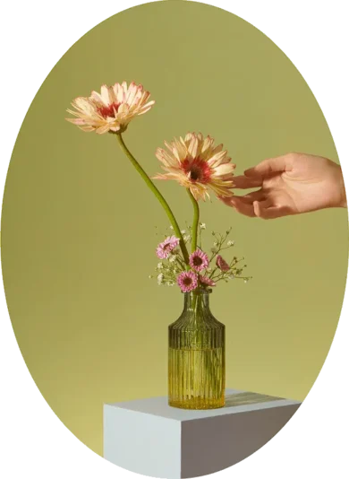 Image - of-location-explore-390x534.webp