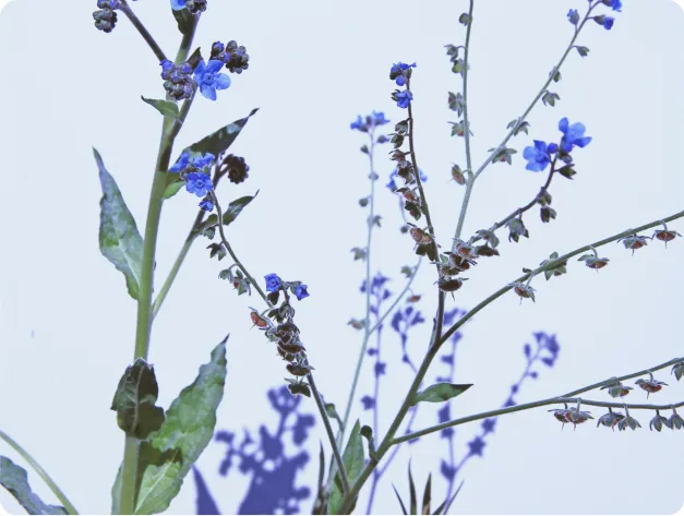 Post featured image