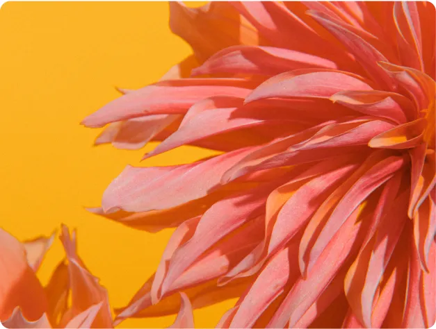Post featured image