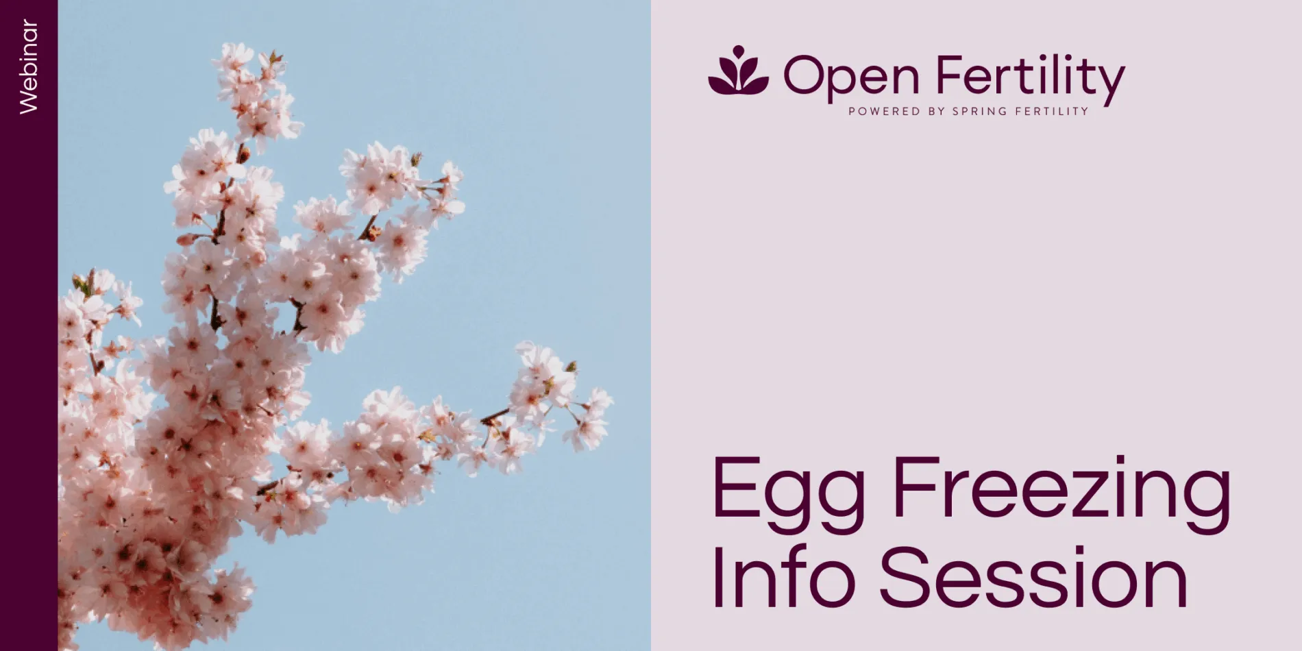 Image - EF-Info-Session-Eventbrite-1900x950.webp